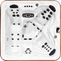 Гидромассажный спа-бассейн Arctic Spa Cub LEGEND