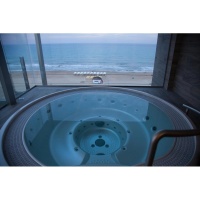 Переливной круглый спа бассейн USSPA Polo